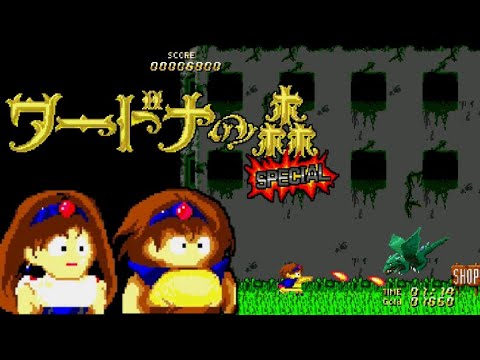 ワードナの森SPECIALの参照動画｜通しプレイの記録項目案