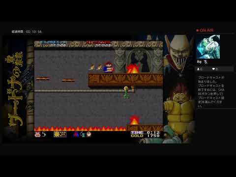 ワードナの森初心者攻略動画の対応サムネイル