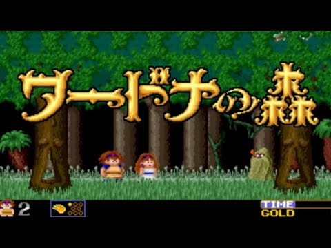 ワードナの森 ステージ1の参照動画｜ショップまでの観察項目